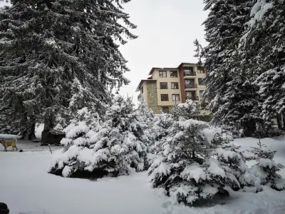 Апарт-Хотел Пайн Хилс Пампорово