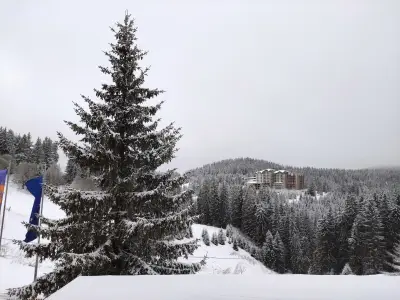 Kamena Pamporovo