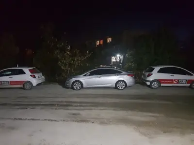 Интер Карс България ЕООД Inter Cars Bulgaria