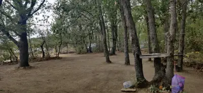 Camping Irakli Wild