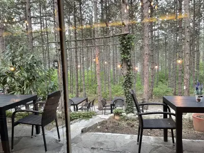 Forest Food House