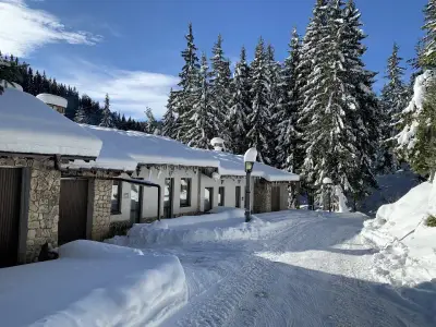 Вилно селище Махала Кочорите