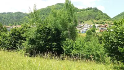 Хотел Рубис