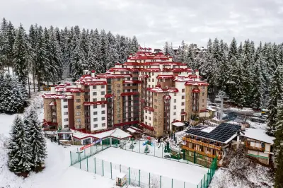 Комплекс Камелия