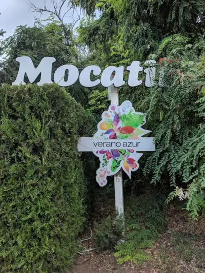 Мокатини