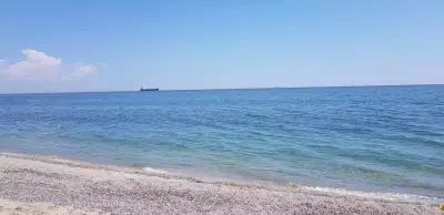 Ри-Бар