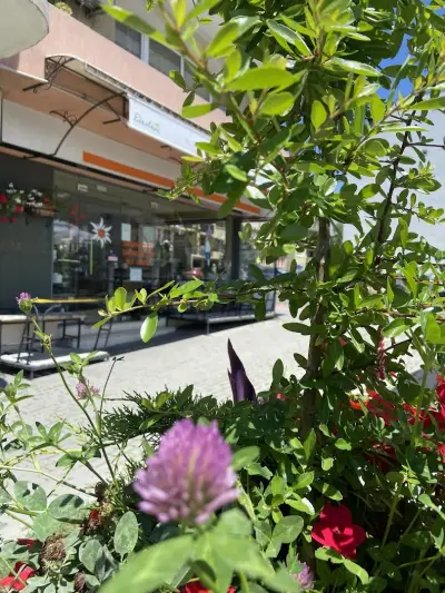 Cafe paccticheria Edelweiss