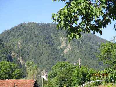 Guesthouse Sekvoia