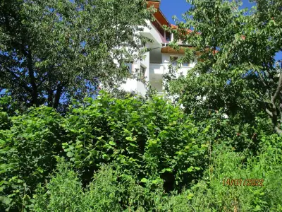 Guesthouse Sekvoia