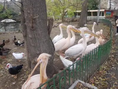 Зоологическа градина Варна