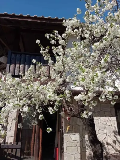 Guest house Smolyan