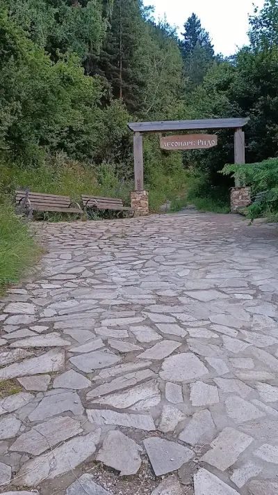 АЛБЕНА СПОРТ 2000