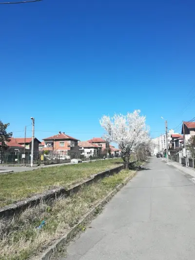 Плод Зеленчук