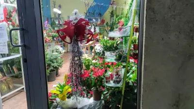 Ексес уотчес