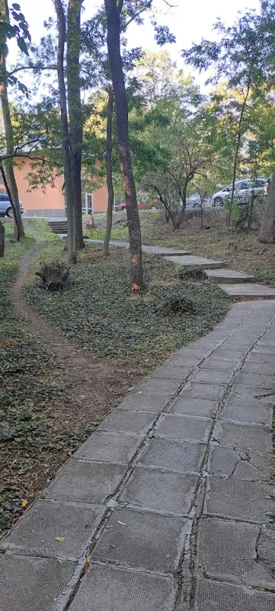 ПРОФИЛАКТОРИУМ БМБ