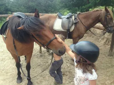 Конна база Happy Horses Estate | Курсове по конна езда Самоков | Разходка с кон сред природата