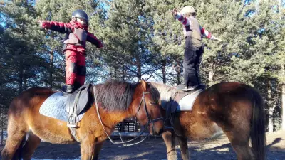 Конна база Happy Horses Estate | Курсове по конна езда Самоков | Разходка с кон сред природата