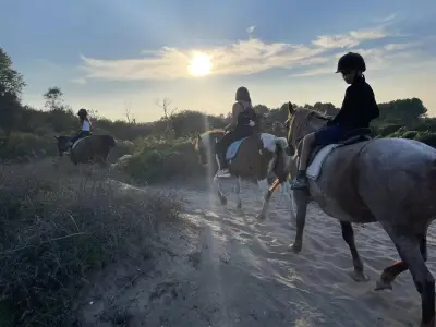 Конна база Happy Horses Estate | Курсове по конна езда Самоков | Разходка с кон сред природата