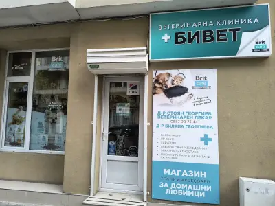 Бивет