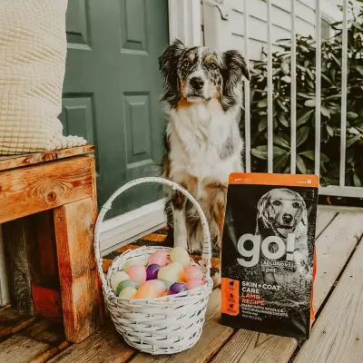 Зообутик Happy Pets - висок клас храни и стоки за домашни любимци