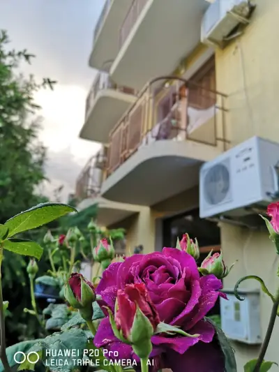 Guest House "Zora - Sarafovo"