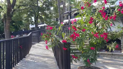 Комплекс Странджата
