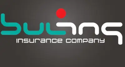 Pro Ins ltd