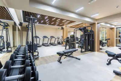 Ability SPA