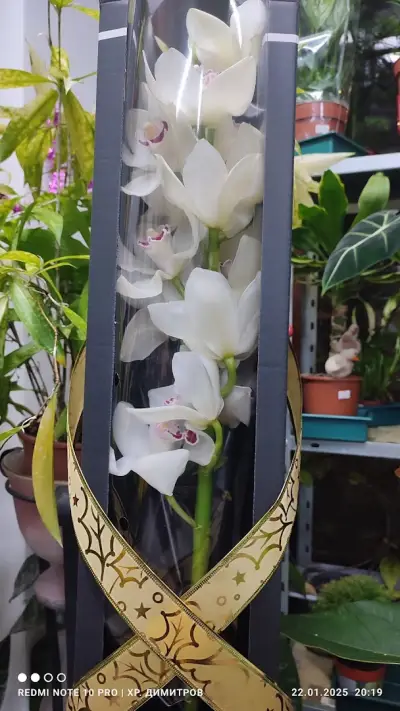 денонощен магазин за цветя "Gardenia"