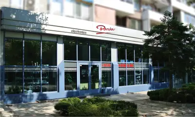 Панда Електроникс
