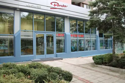 Панда Електроникс