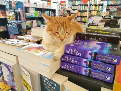 Книжарница “Хеликон”