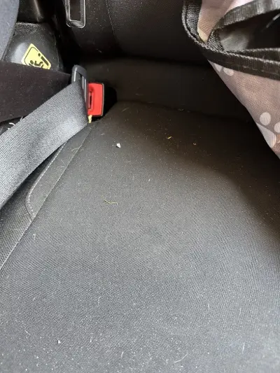 Carwash Auto Bubbles