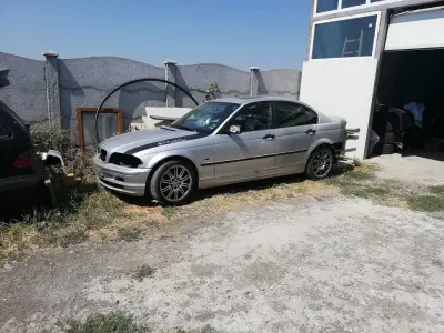 M color Service