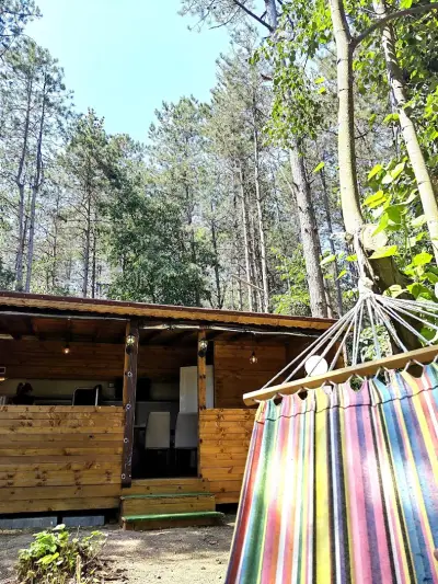 Каравани под наем Summer Dreams