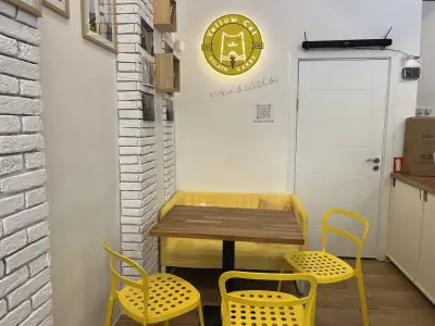 YellowCat Gelato & Cake