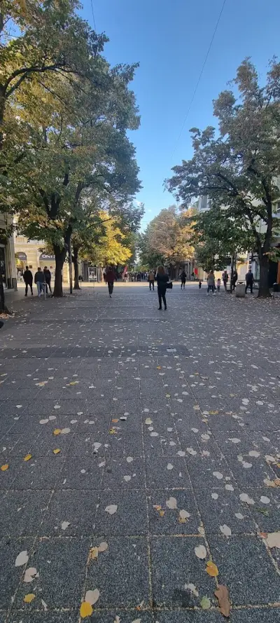 Хоби