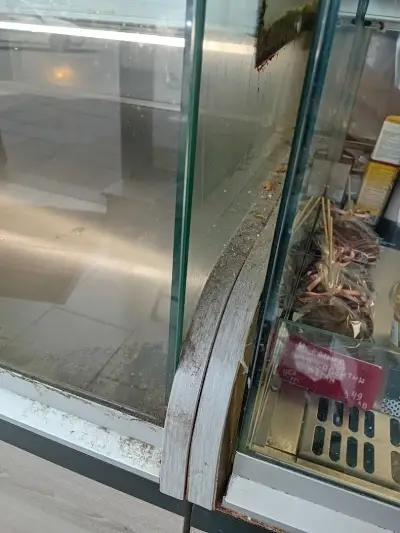 Пекарна & Кафе "ЗИА" / Bakery & Cafe "ZIA"