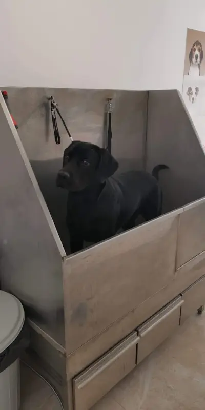 VEOPETS Зоомагазин