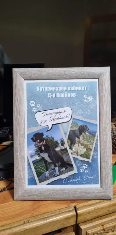 Ветеринарен кабинет д-р Крайнов