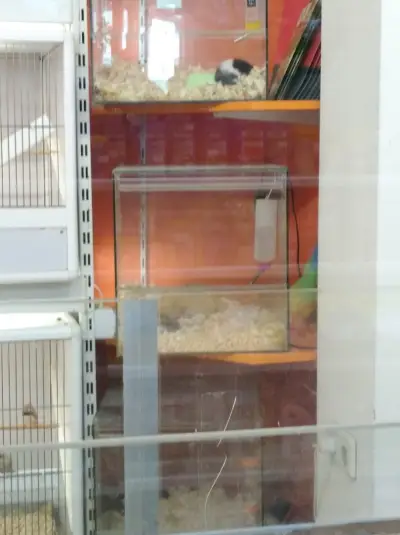 Ветеринарна клиника ZOO CENTER Суходол