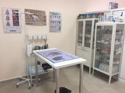 ветеринарна клиника Парадайс