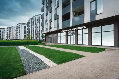 Сити Джънгъл