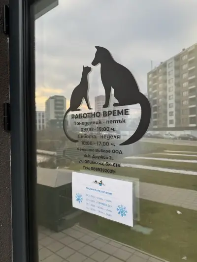Сити Джънгъл