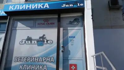 Сити Джънгъл