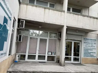 Роял вет