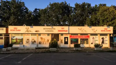 101 Любимци