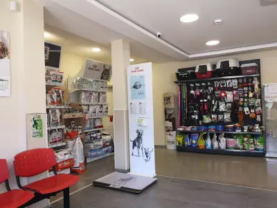 101 Любимци