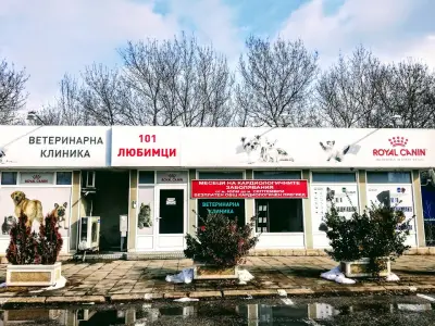 101 Любимци