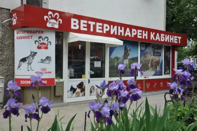 Ветеринарни кабинети Феникс Вет | Изток